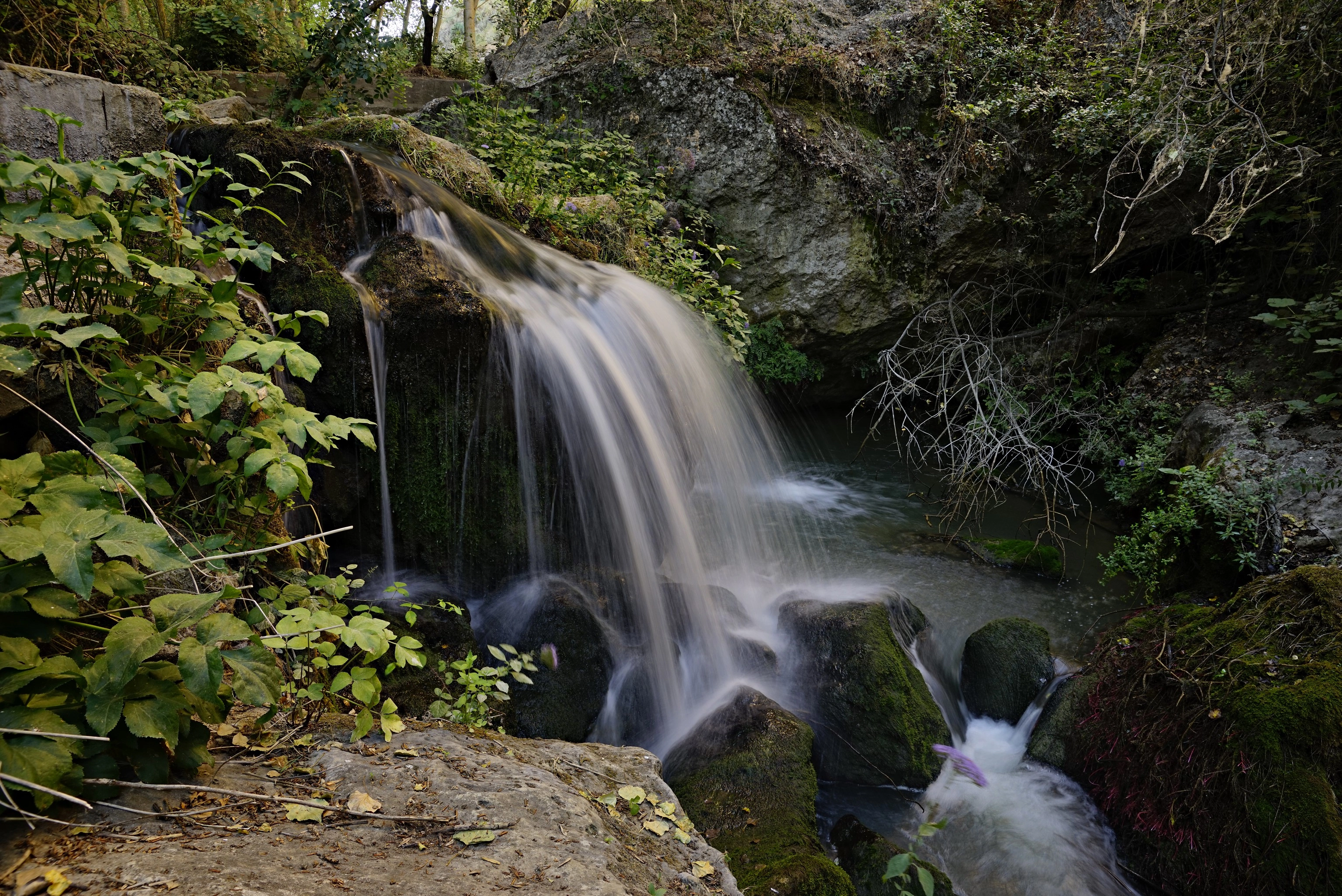 Natuurlijke omgeving